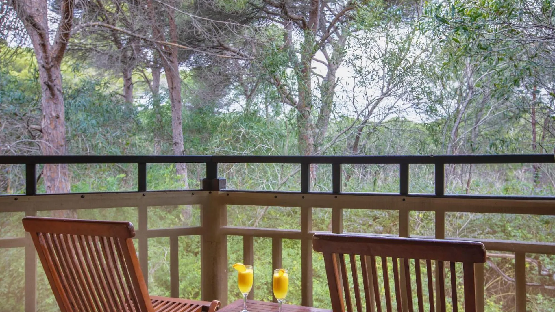 אנטליה Asteria Family Resort Belek מלון
